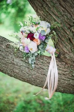 Wedding bouquet on the tree branch 写真素材
