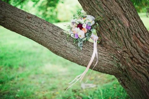 Wedding bouquet on the tree branch Stock Photos