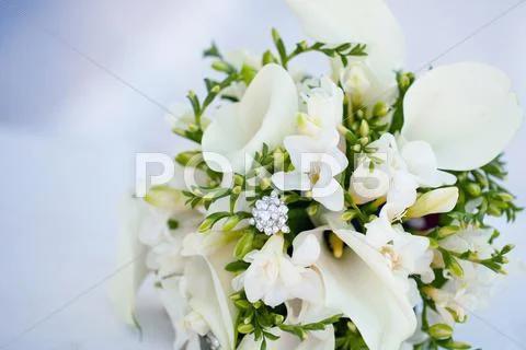 Wedding bouquet on a white background Stock Photos