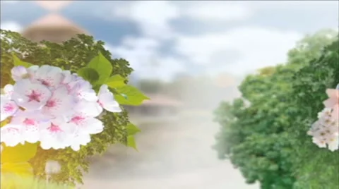 Wedding bouquets Stock Footage 890971