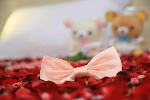 Wedding bow tie Foto stock