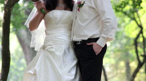 Wedding, the bride and groom Stock Footage 28844656