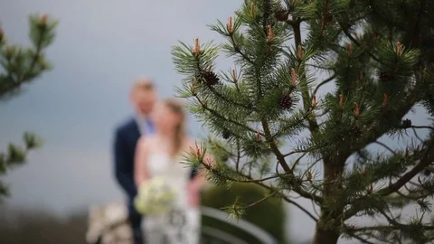 Wedding bride and groom Stock Footage 74596538
