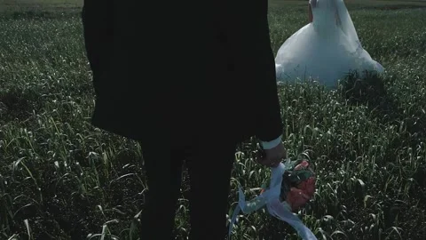 Wedding - the bride and groom Stock Footage 148092470