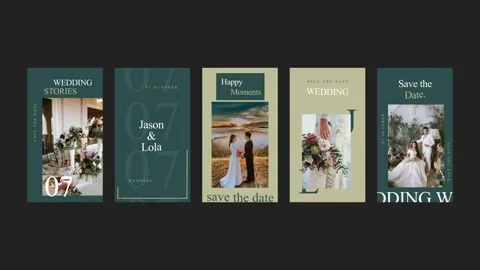 Wedding Bride Instagram Stories After Effects stock