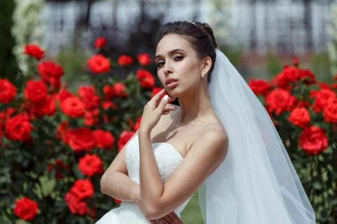 Wedding bride smiling Stock Photos