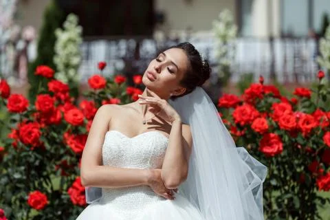 Wedding bride smiling Stock Photos