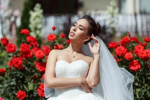 Wedding bride smiling 写真素材