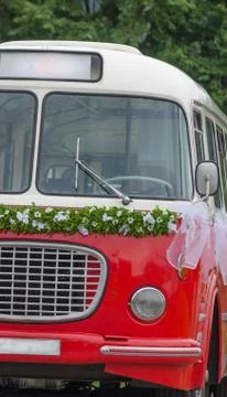 Wedding bus Stock Photos