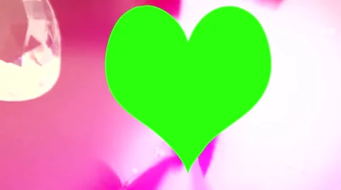 Wedding Butterfly Stock Footage 50368787