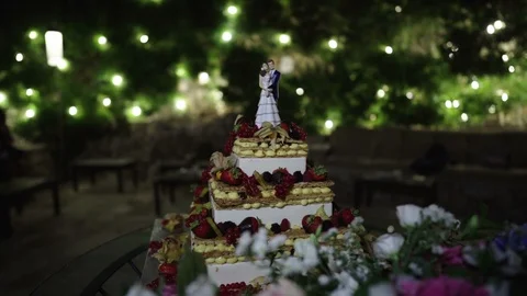 Wedding cake with bride  puppet - slight camera movement with blurred background Stock-Footage 114759313