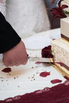 Wedding cake cutting Stock Photos