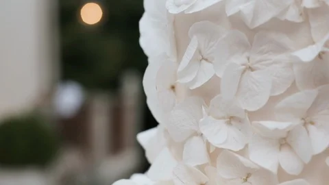 Wedding Cake With Flowers On Top. Vídeos de archivo 111145969