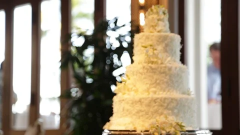 Wedding Cake Stock Footage 105220478