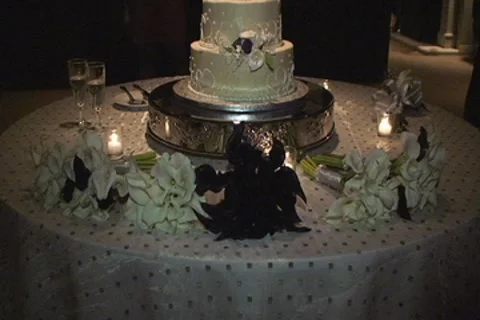 Wedding Cake July 2011 Stock Footage 8518582