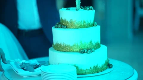 Wedding cake party hall Stock Footage 159882025