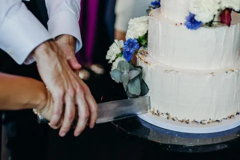 The wedding cake Stock Photos