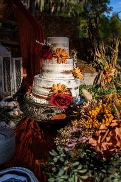 Wedding Cake Stock Photos