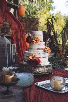 Wedding Cake Stock Photos