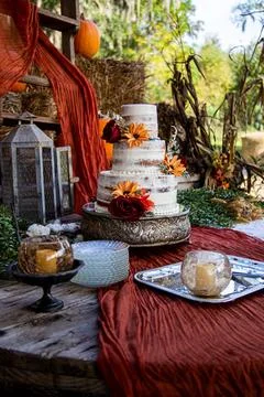 Wedding Cake Stock Photos