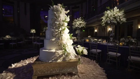 Wedding Cake at Reception Slider Stock Footage 122533166