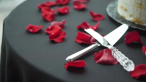 Wedding Cake Servers Wedding Reception Stock Footage 108064939
