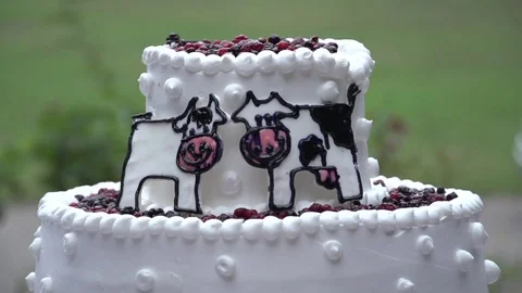Wedding cake slow motion Stock Footage 81490869