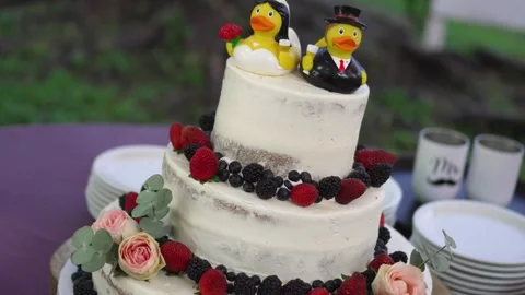 Wedding cake with two duck figurines on top. The cake is decorated with Stock Footage 284084100