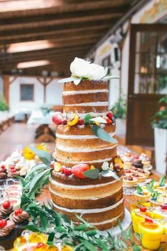 Wedding candy bar,  cake 写真素材