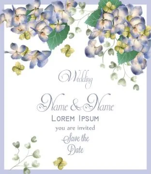 Wedding card with spring hydrangea flowers Vector. Romantic floral invitation Stock Illustration