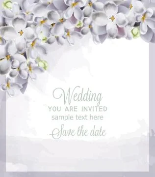 Wedding card spring hydrangea flowers Vector. Romantic floral invitation or g 스톡 일러스트