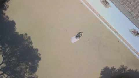 Wedding ceremony. Dance Stock Footage 129603244