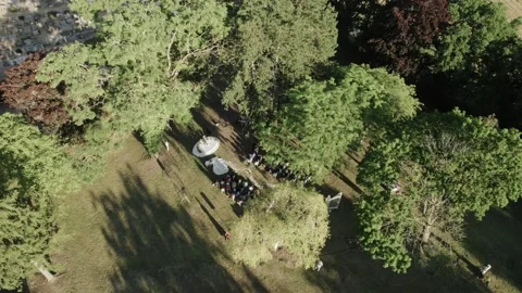 Wedding ceremony in the forest, drone Stock Footage 229418852