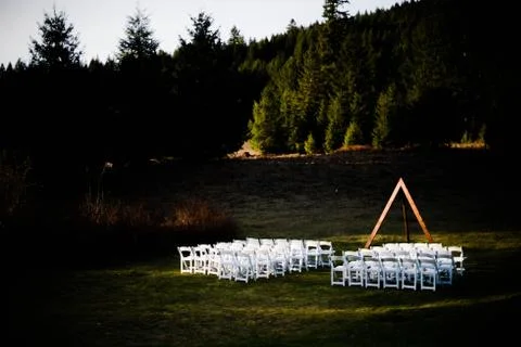 Wedding ceremony in the forest Foto stock