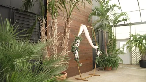 Wedding Ceremony Palm Trees Super Slow Motion Stock Footage 162580929
