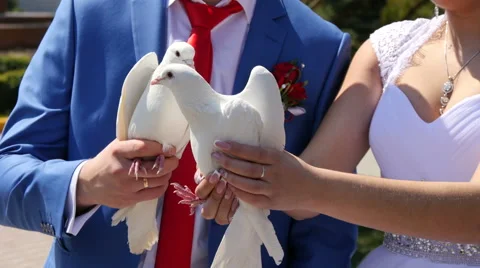 Wedding ceremony with pigeons. Stock Footage 49491673