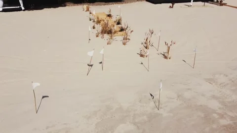 Wedding ceremony on a white sandy beach overlooking lush green trees. Aerial Stock Footage 321944526