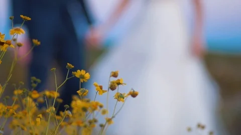Wedding Close Up 03 Stock Footage 97251968