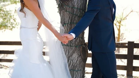 Wedding Close Up 04 Stock Footage 97252305