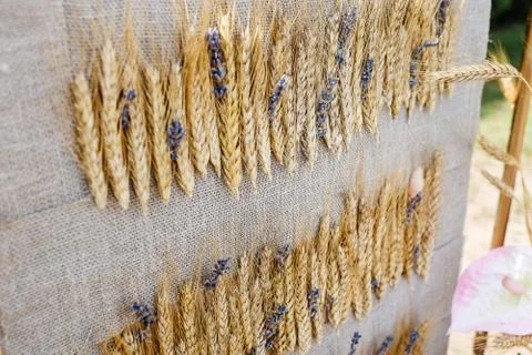 Wedding Composition of dry spikelets Stock Photos