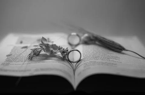 Wedding composition with wedding rings Stock Photos