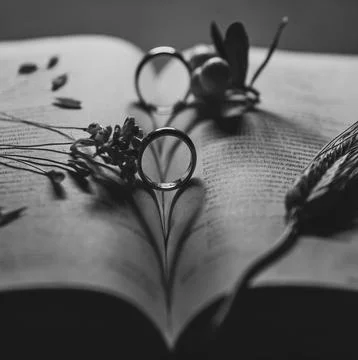 Wedding composition with wedding rings Stock Photos
