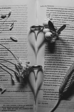 Wedding composition with wedding rings Foto stock