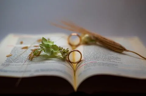 Wedding composition with wedding rings Stock Photos