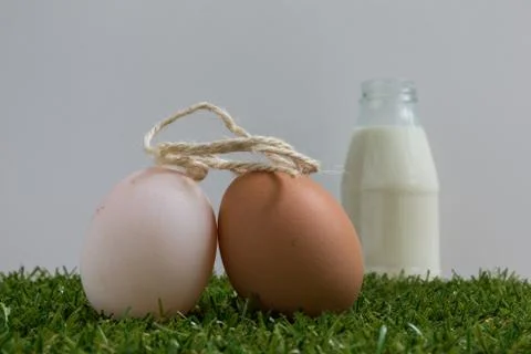 Wedding concept : Two eggs get married Stock Photos