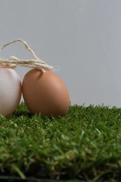 Wedding concept : Two eggs get married Stock Photos