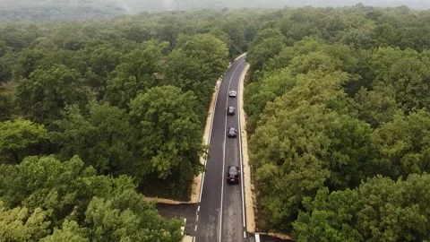 Wedding convoy from behind and above the forest Vídeo Stock 240299540