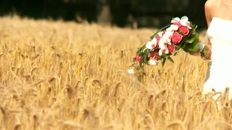 Wedding couple In a cornfield Stock-Footage 11355900