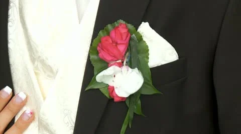 Wedding Couple Stock Footage 11355892