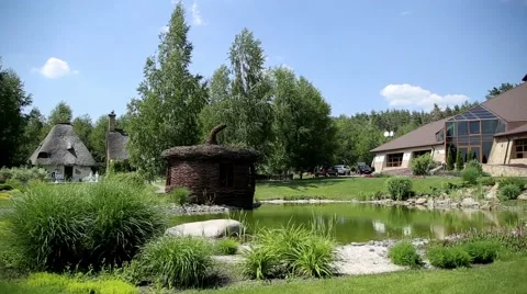 Wedding couple Stock Footage 53501507